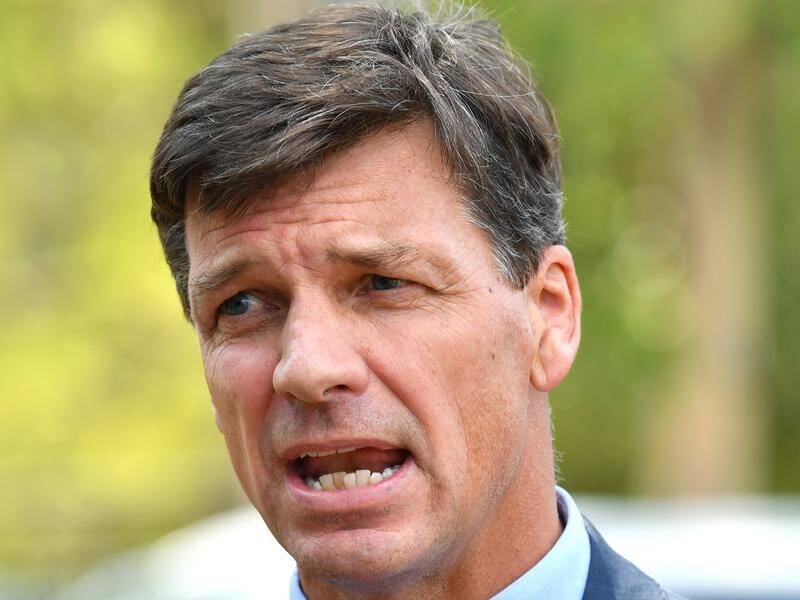 Angus Taylor says cutting Australia's migration cap has nothing to do with the NZ terror attacks.