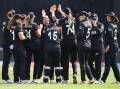 New Zealand's top women's cricketers will receive the same pay as their men in a landmark deal.