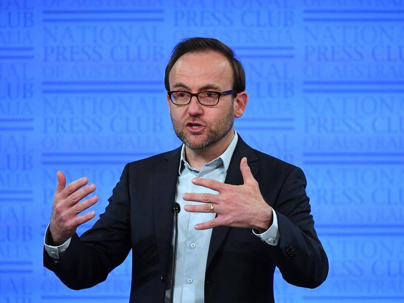 Greens Leader Adam Bandt says the government should not be subsidising profitable corporations.