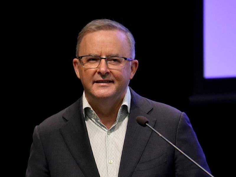 Anthony Albanese says he wrote to the PM about a national approach to bushfires but was dismissed.