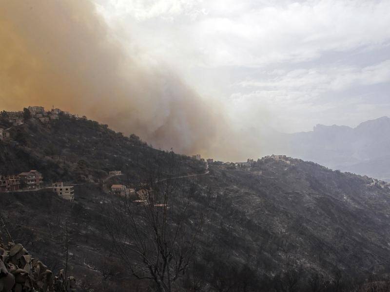 Dozens of people have been killed in wildfires in the forest in Algeria's Tizi Ouzou region.