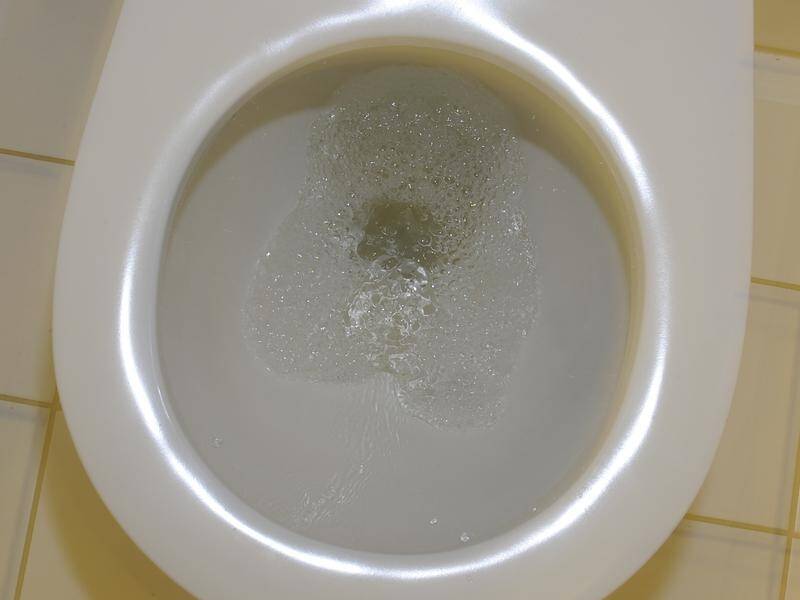 Three judges have not accepted an ACCC argument that "flushable" wipes have potential to cause harm.
