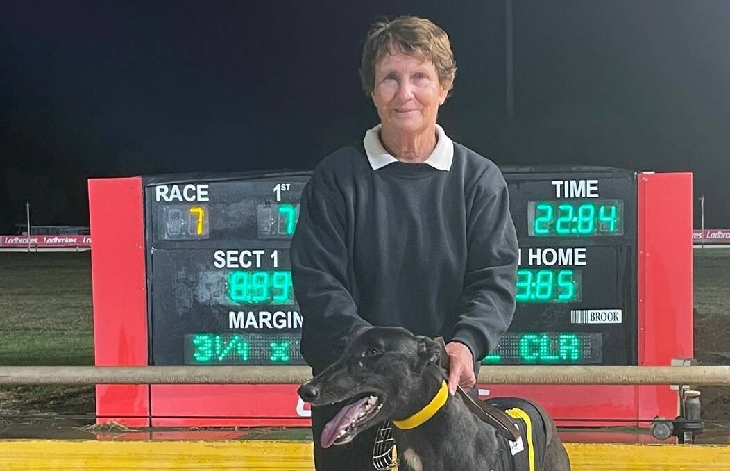 WINNING COMBINATION: Pam Braddon and Lightning Blazer, pictured at Dawson Park. Picture: DAILY LIBERAL.