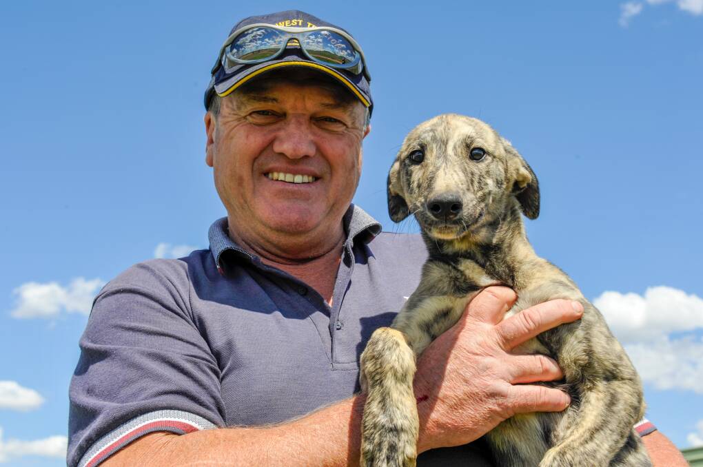 VALE: Greyhound racing industry icon Paul Wheeler. Photo: Clint Anderson. 