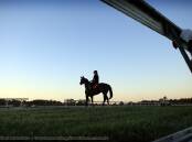 Daybreak on the Manning - Bushland Drive Racecourse at Taree 2016 | Gallery