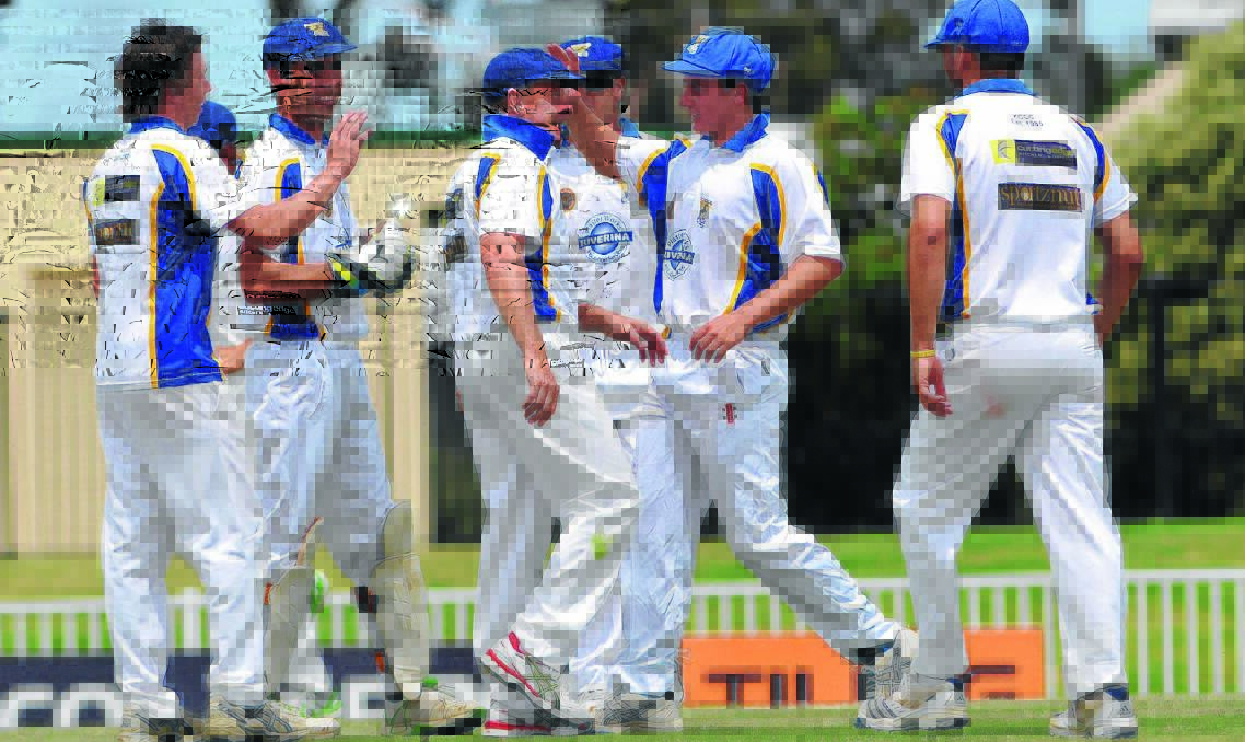 GOT HIM: Kooringal Colts players rush to get around captain Keenan Hanigan after he claimed the wicket of Wagga RSL batsman Sam Lempard at Robertson Oval on Saturday. Picture: Michael Frogley