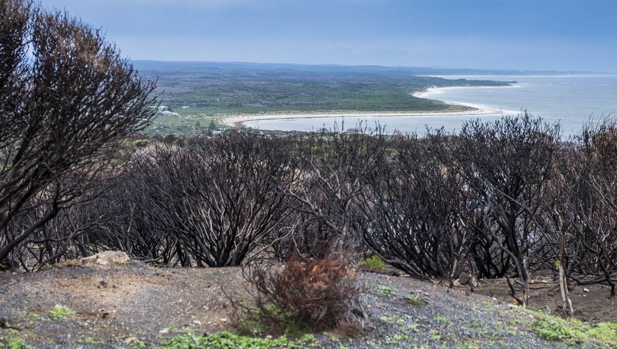 Firefighters were able to steer February's Northcliife bushfire to the coast near Windy Harbour where it burnt itself out. Photo: Ashley Pearce. 