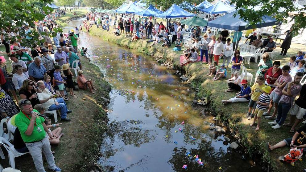 The crowd at last year’s TumbaFest watches a duck race. Picture: Alastair Brook