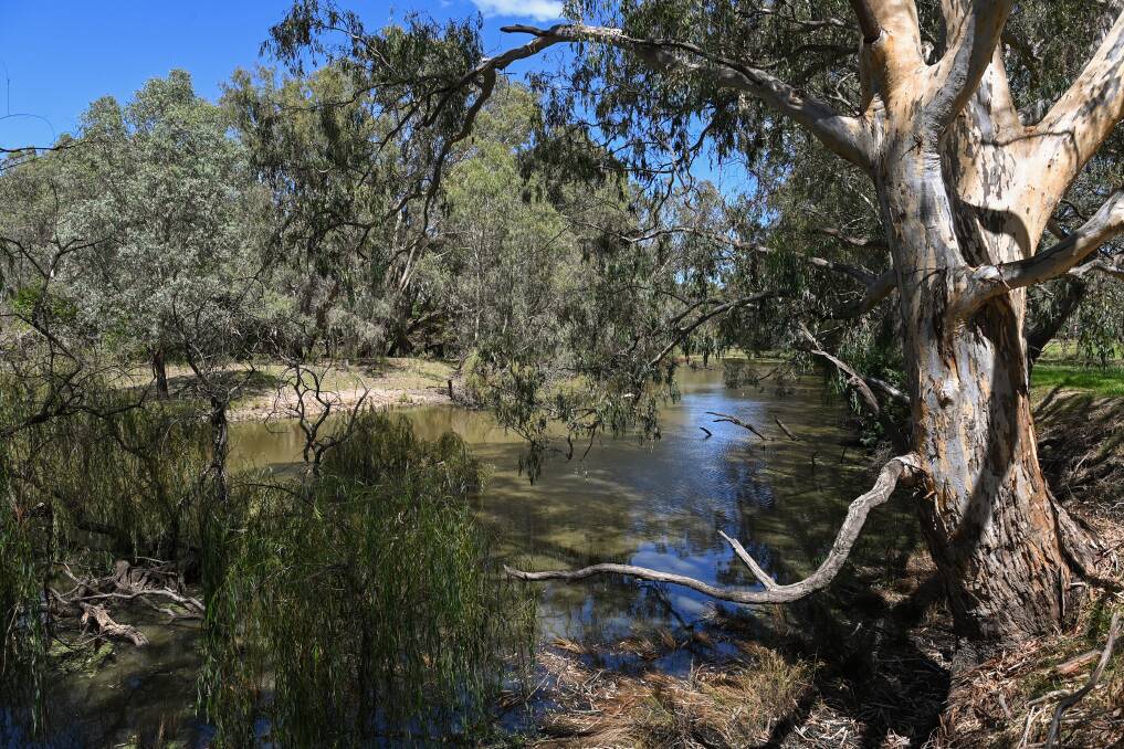 SITE: The area where Ms Richardson was raped and killed has always been described as Horseshoe Lagoon, but is about 1.5 kilometres away off Waterview Road in Splitters Creek. 