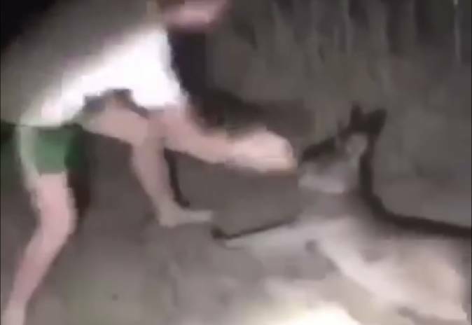 PUNCHED: The kangaroo is struck while on the ground. It was hit at least 10 times in the 52 second video. 