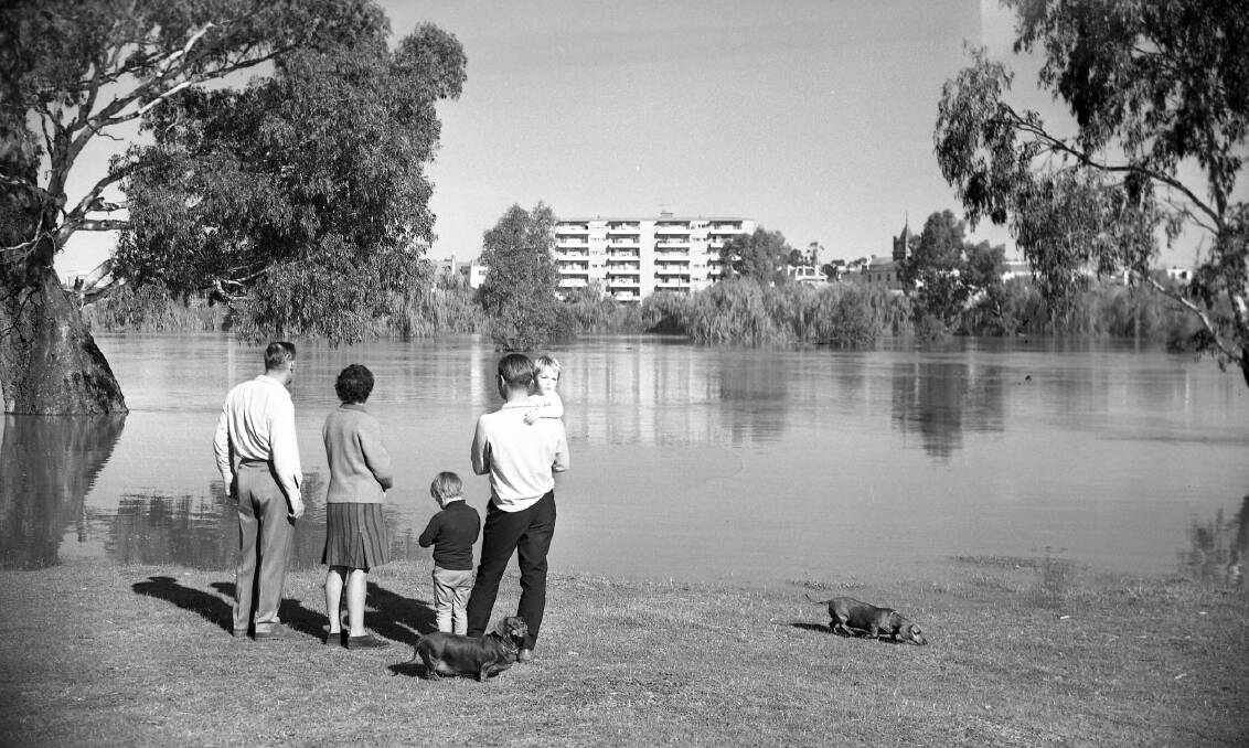 FLOODED: Wagga Flood of June 1969, looking across the river towards Kilnacrott and the central business district. Picture: CSURA, Lennon Collection RW1574.421