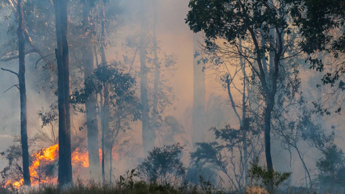 BLAME GAME: Ray Goodlass urges people to stop blaming the 'greenies' and instead look to how we can mitigate the bushfire risk by using good management practices. 