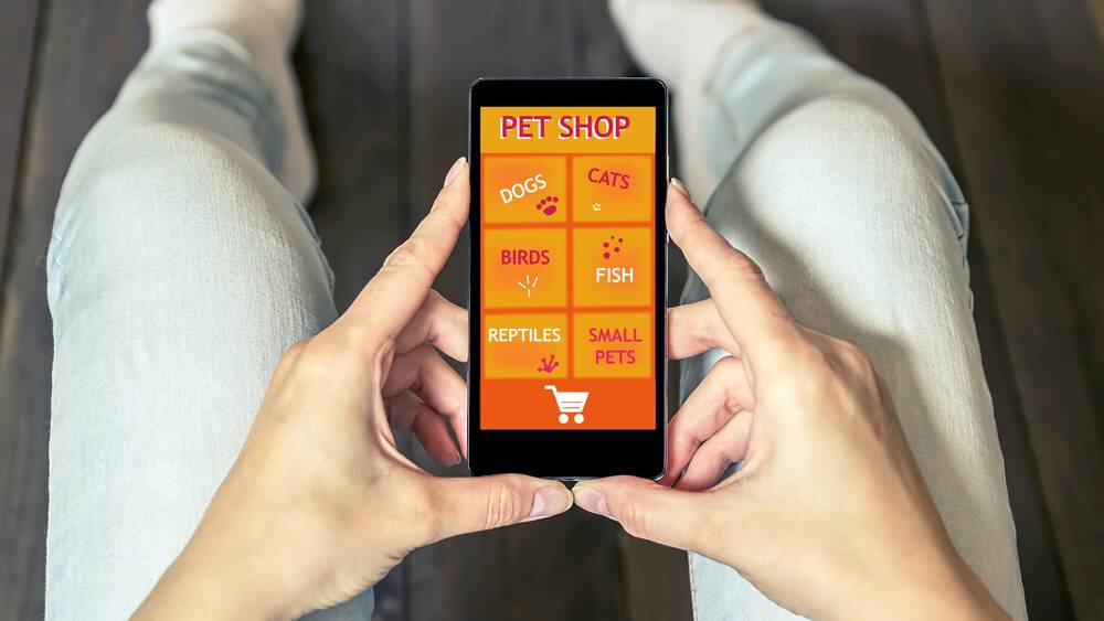 Investigate before buying a pet online