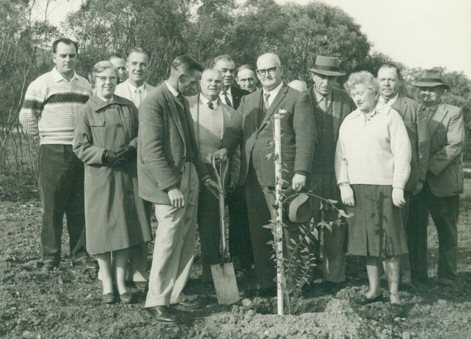 PLANT: Wagga City Council Parks Committee, led by Vice-Chairman R J Harris and Parks and Gardens Curator Tom Wood, planting a tree in 1963, probably during the establishment of Waggas Botanic Gardens. Picture: Sherry Morris