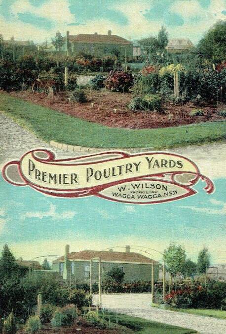 HISTORY: A section of a postcard depicting the Premier Poultry Yards, circa early 1900s. Image courtesy of Margaret White.