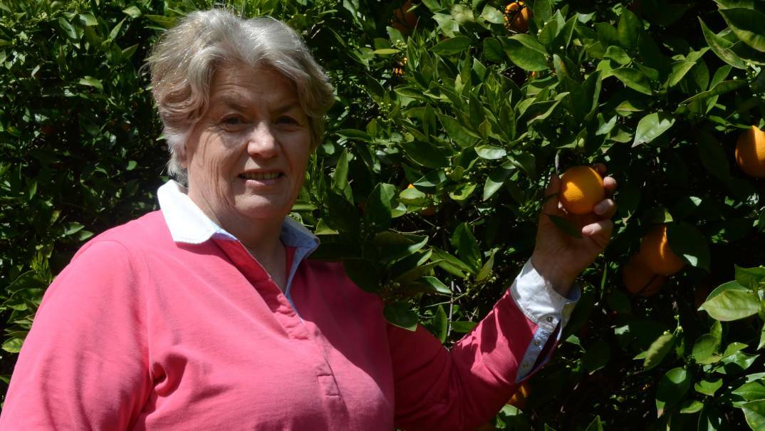 Lake Wyangan citrus grower and packer Sue Brighenti