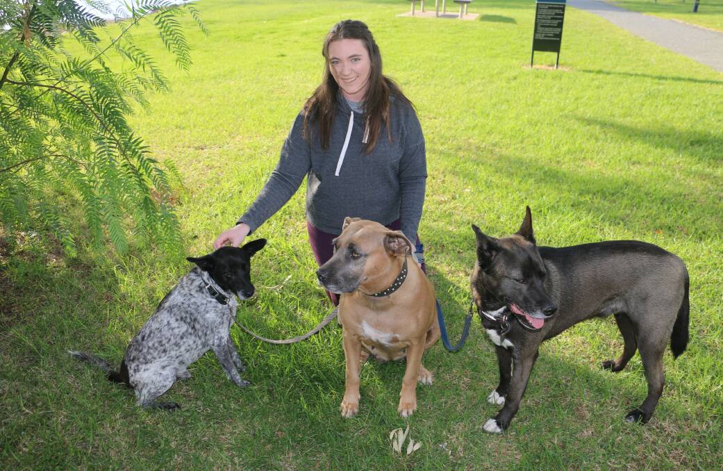 Courteney Cullum with dogs Buddy, Narla and Archie. Picture: Jessica McLaughlin