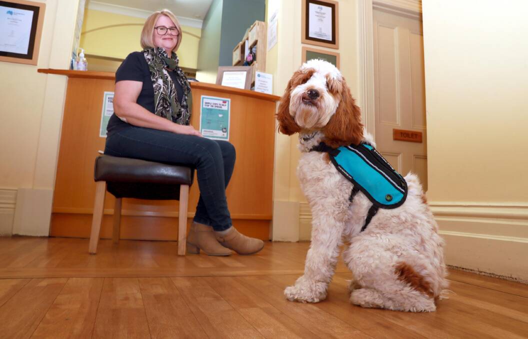 GENTLE TOUCH: Ann Cramp works alongside Buster the Labradoodle at Riverina Psychology, offering an ear to listen and a tail to wag away anxiety. Picture: Les Smith