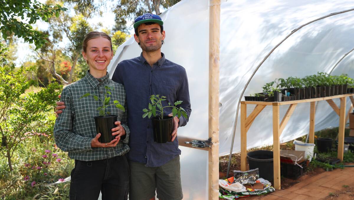 GREEN THUMBS: Nicola Turner and Emery Hosken are working hard to see Middle Sister Farm get off the ground with the goal of providing Wagga with freshly harvested veggie boxes weekly. Picture: Emma Hillier