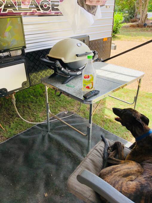 Tracy O'brien says Ruby is a gentle dog, capturing her disposition as she sat at her grandparents' campsite and watched the cricket. Picture: Supplied