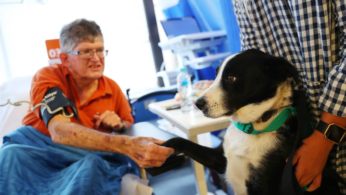 HELPING PAW: Patient Michael Geoode enjoys the company of Bear the therapy dog. Picture: Emma Hillier