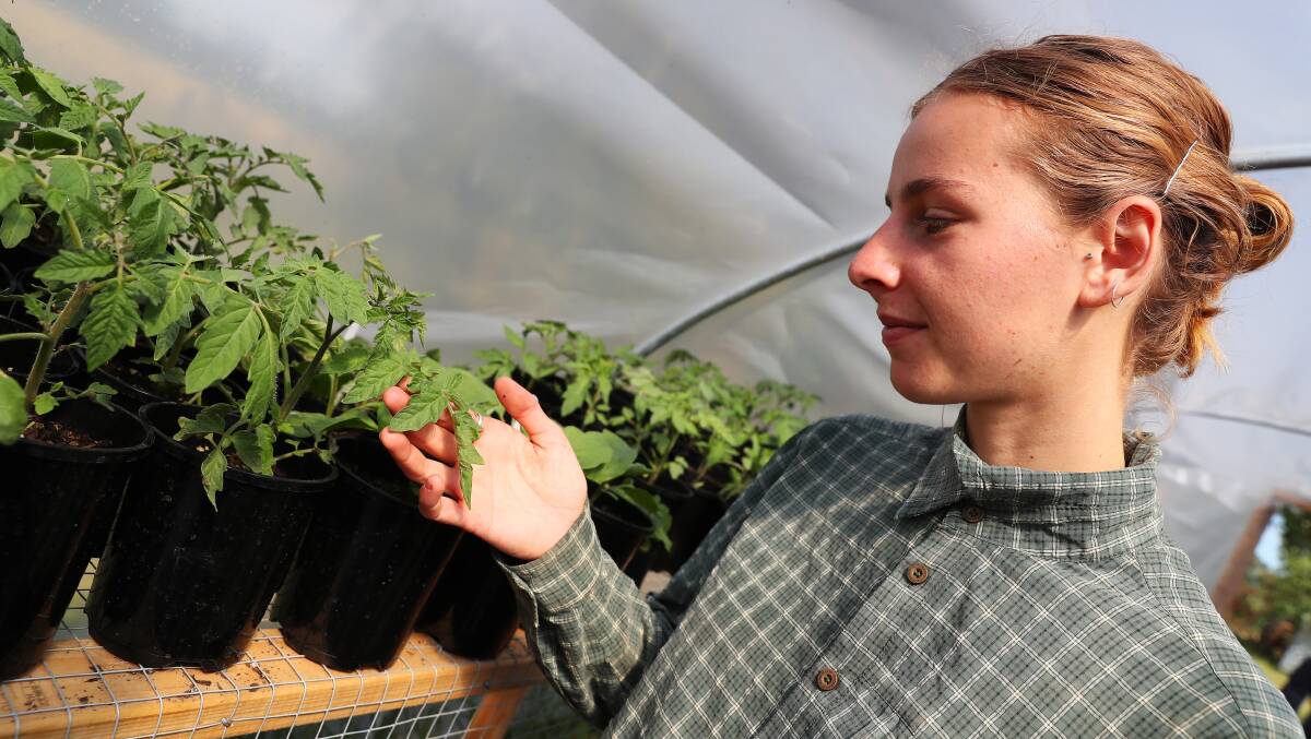 Nicola Turner checks the progress of growth in her greenhouse. Picture: Emma Hillier