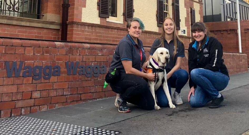 GENTLE TOUCH: Dog handlers Kaitlyn Sheridan, Courtney Krause and Krystal Buckingham with Princess, Wagga Courthouse's therapy dog.