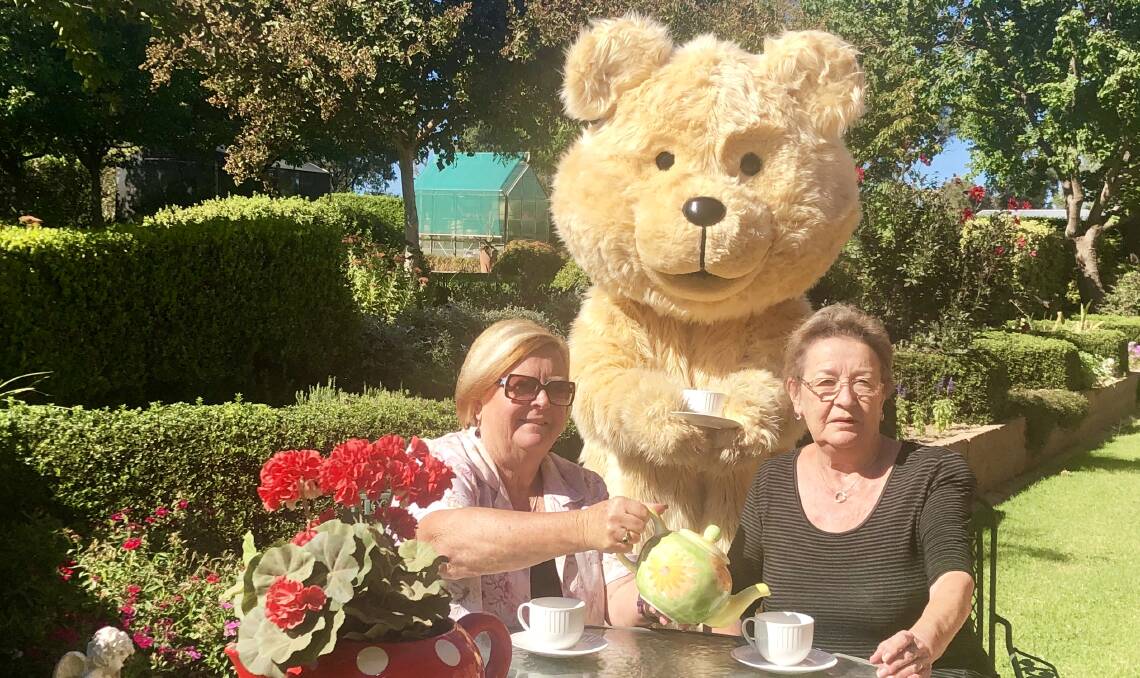 Sue Chapman and Hester Piltz of Machine Knitters Wagga get ready for their high tea with Dougal the Cancer Council bear. Picture: Supplied. 