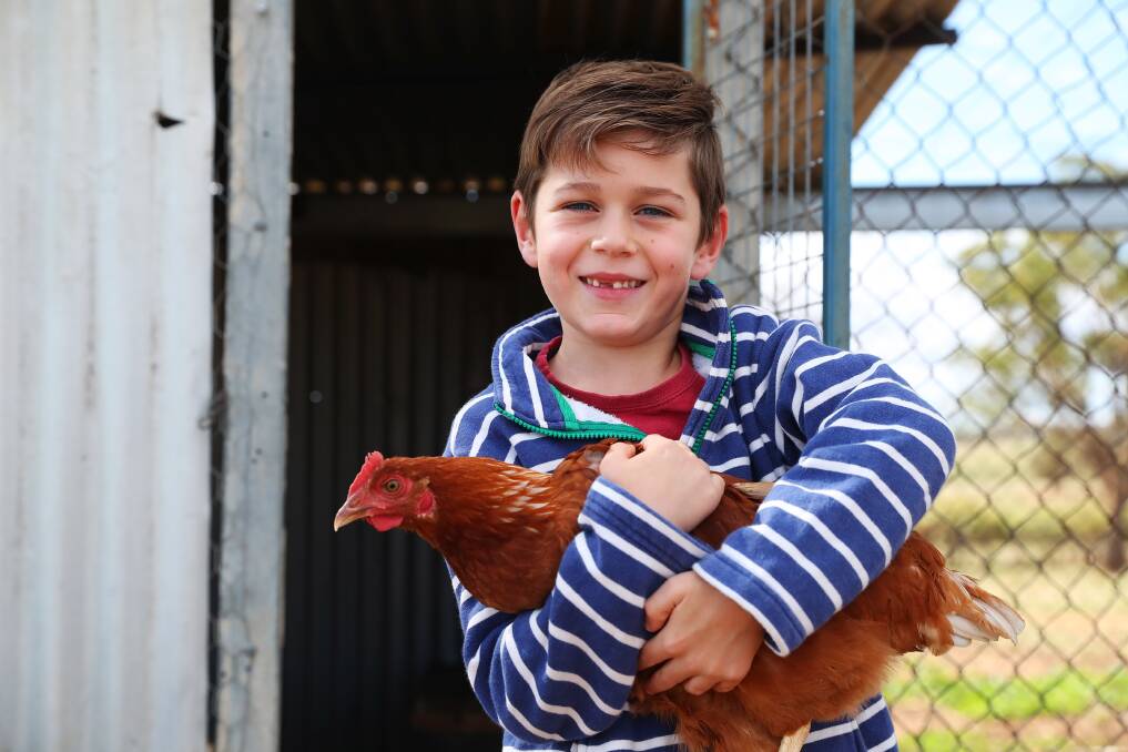 William Reynolds, 7, hopes his chicken will lay some Easter eggs this year. Picture: Emma Hillier