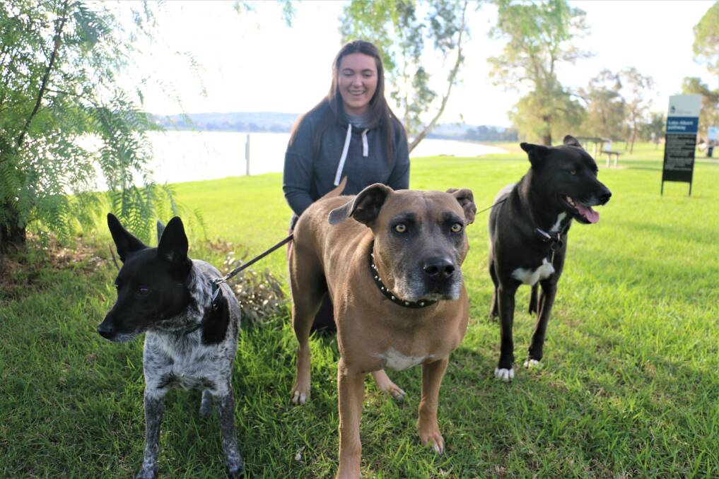 THREE'S A PARTY: Courteney Cullum frequents Lake Albert with her dogs Buddy, Narla and Archie. Picture: Jessica McLaughlin