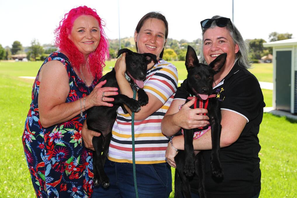 PUPPY LOVE: Kym Bosley (left) enjoys pats in the sunshine with BFPR co-founder Stacey Hinch (centre) and treasurer Dimi Crebbin (right). picture: Emma Hillier.