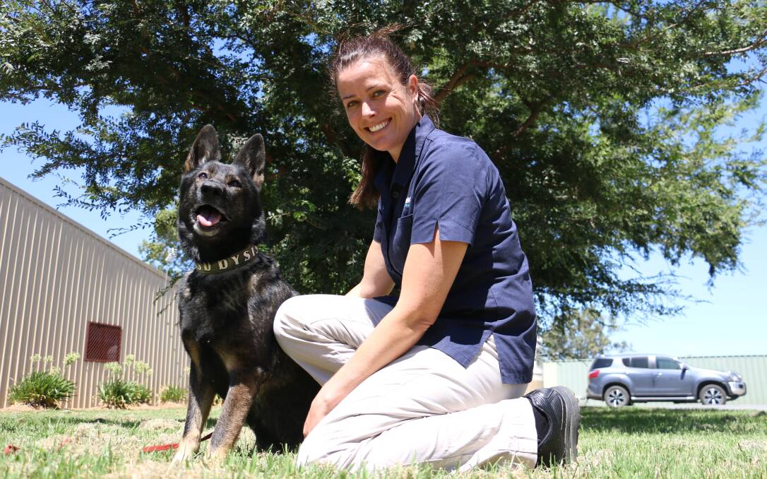 BIG STEP: Wagga vet Rosemary McKean has expanded her horizons in order to help dogs like Dysis, five, breed healthy puppies. Picture: Jessica McLaughlin