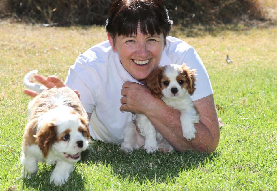ETHICAL BREEDING: Lyndy Morris hopes to see an end to puppy farming and a positive focus on legitimate breeding in NSW. Picture: Les Smith