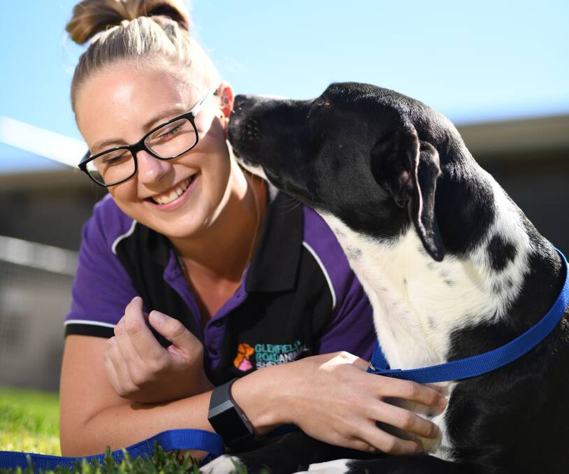 PUPPY LOVE: Keli Stephens spends some quality time with Splat, a dog currently in the Glenfield Road Animal Shelter's care.
