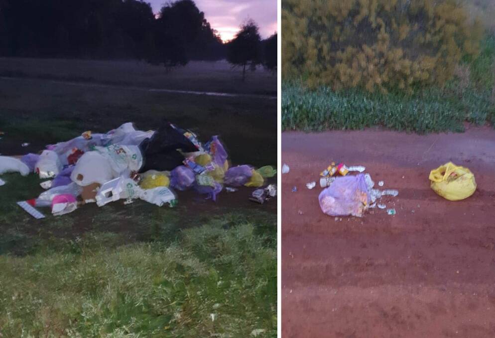 ILLEGAL DUMPING: Two trailer loads of rubbish have been dumped at Jones Reserve, leaving residents fed up with irresponsible behaviour. Pictures: Contributed