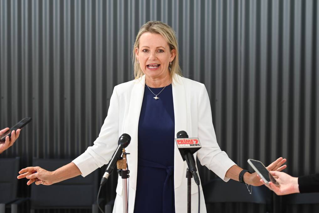 While uncomfortable, the topic of domestic violence is one that must be faced, says Sussan Ley. Picture by Mark Jesser
