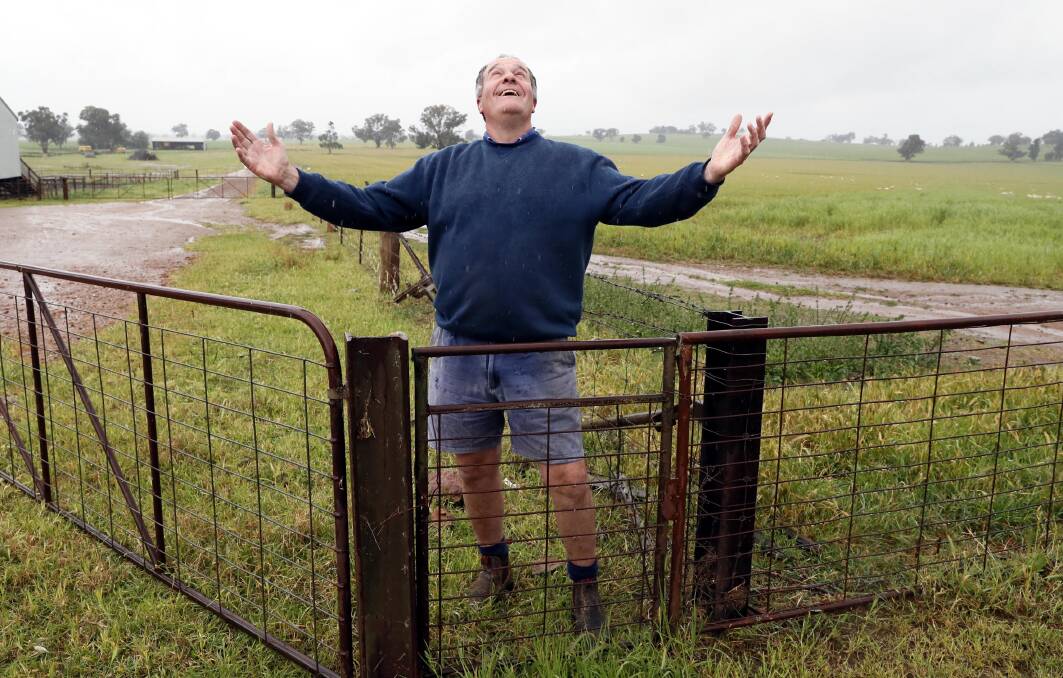MORE THAN A DRIZZLE: Downside dryland farmer David Meiklejohn describes this week's heavy rain as "fantastic" for his crop as he prepares for harvest. Picture: Les Smith