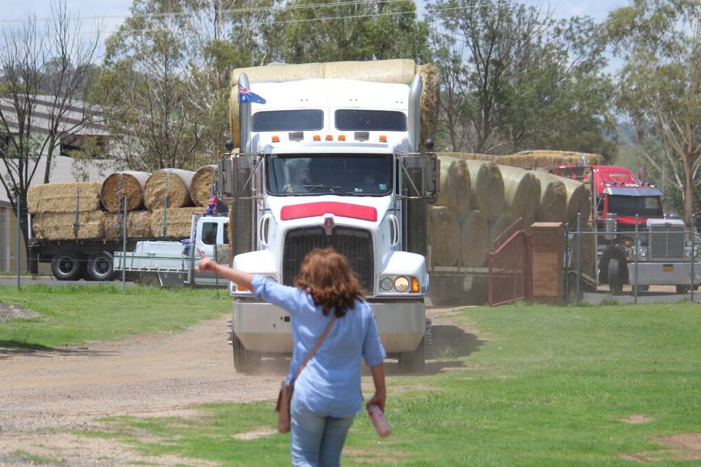 HAY LOAD: Belinda Ackling from Armidale Regional Council directing trucks at the showground on Saturday ahead of the Australia Day celebration. Picture: Steven Green