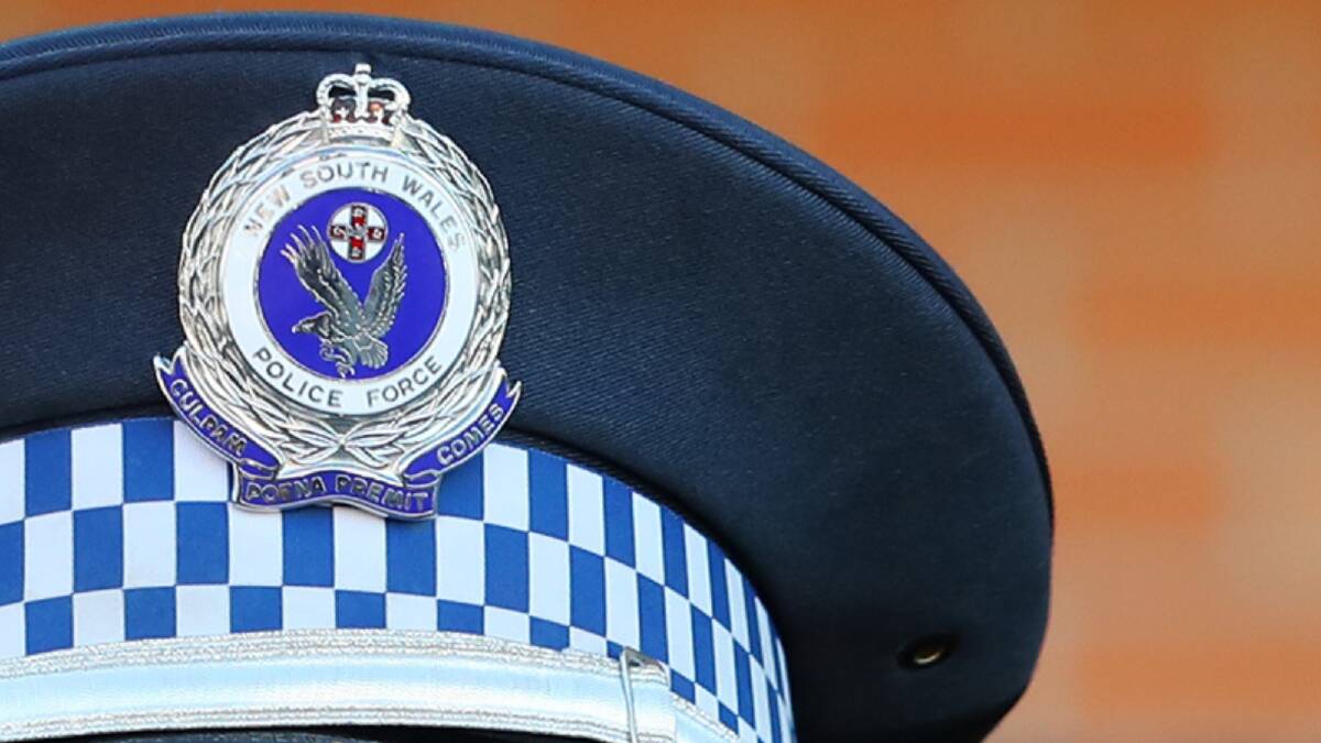A 61-year-old Hay man has been charged with animal cruelty and firearm offences after he allegedly shot two dogs with an air rifle. 