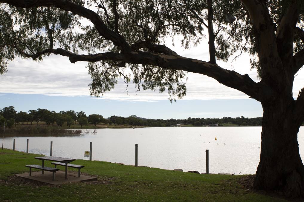 Wagga City Council says it is in the planning and design phases of a project to build a pipeline linking Lake Albert and the Murrumbidgee River. Picture by Madeline Begley