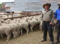 Steve and James Faulder, The Ranch, Mullion, sold Merino/White Suffolk store lambs, August/September drop, Glenfinnan blood for $55 a head. Picture by Helen DeCosta