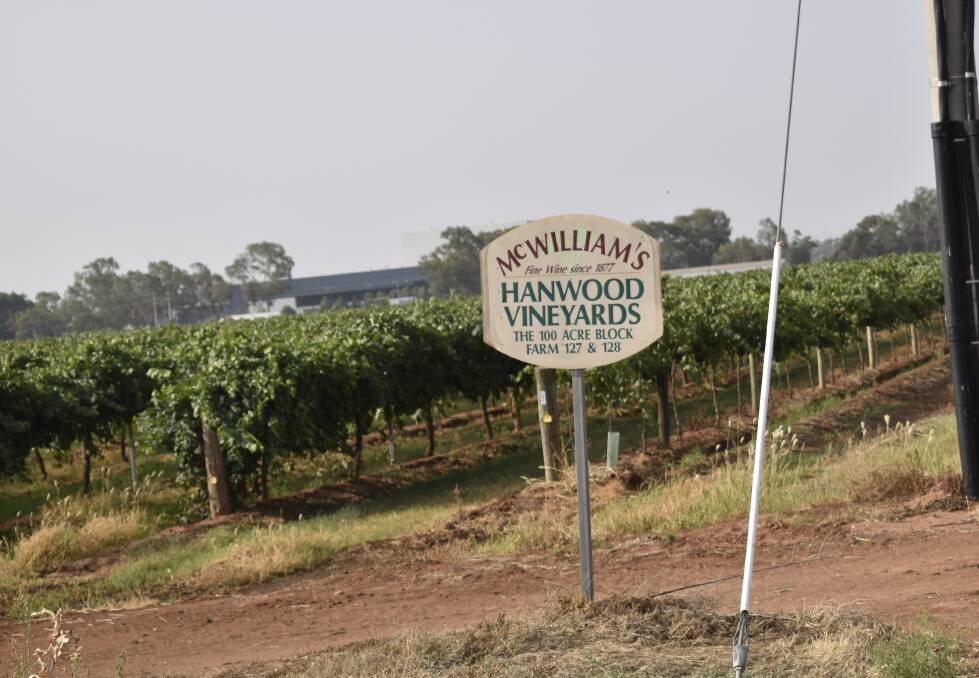 Riverina winemaker McWilliam's has been placed into voluntary administration. PHOTO: Kenji Sato