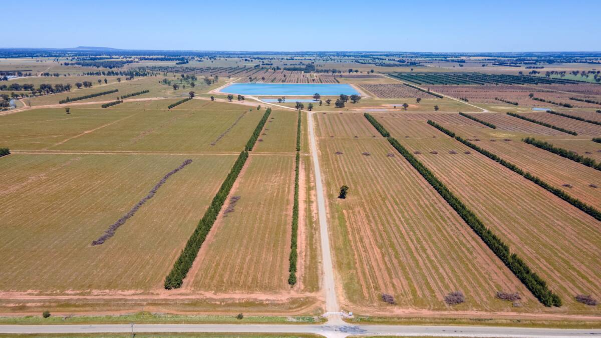 A major NSW Riverina farming aggregation is expected to attract offers of more than $80 million. Picture supplied