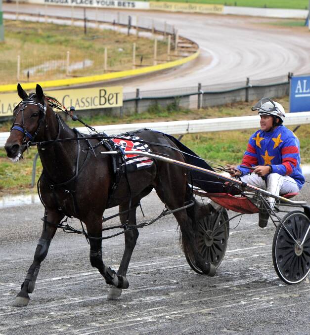 WINNING RETURN: Ladysmith trainer-driver Ross Arentz returns with Wamboyne Woody after the pair won the first race at Wagga on Friday. Picture: Laura Hardwick