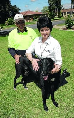 GREAT PARTNERSHIP: Bill Holmes and Wendy Hand with their greyhound Evil Twist in Wagga yesterday. Picture: Addison Hamilton