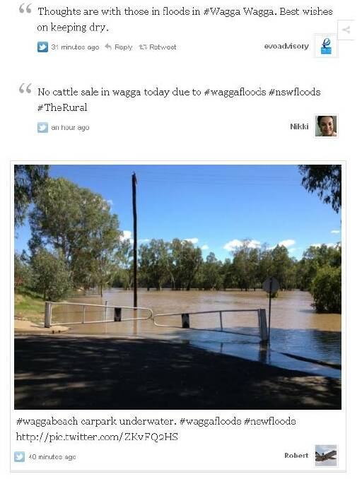 The search term 'Wagga Wagga' is trending on Twitter.