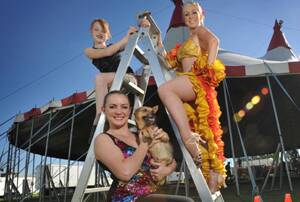 ROLL UP: Webers Circus performers (from back left) Wonona Weber, 10, Emma Hodge, 21, Wonita Weber (front), 21, and Ticco will take to the big top at Bolton Park tonight for the first of 16 shows in Wagga, Picture: Oscar Colman