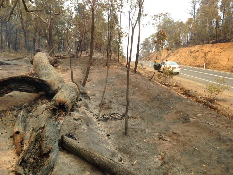 On the ground at Tumbarumba Road. Picture: Les Smith 
