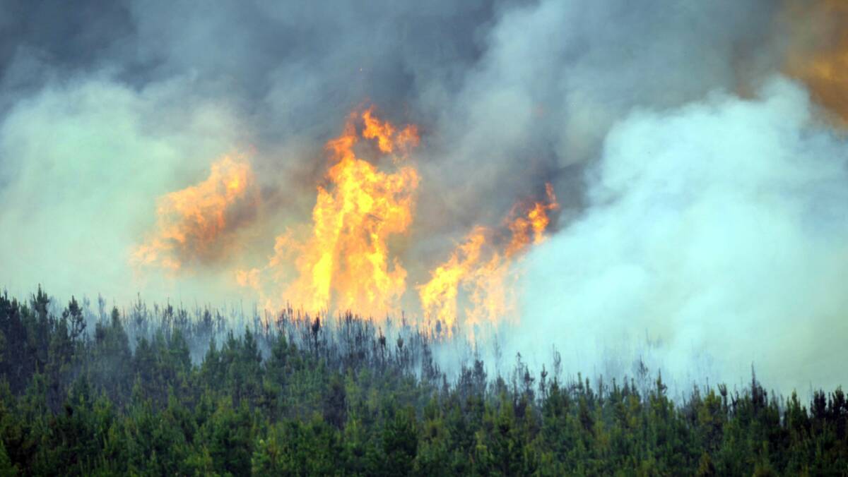 A pine plantation goes up in flames at Carabost yesterday. Picture: Les Smith