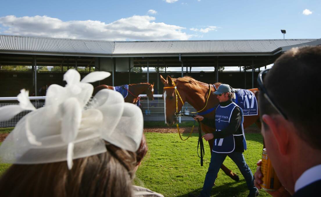 Horses parading before race 4. Photo: Peter Stoop